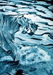 Lion in Water